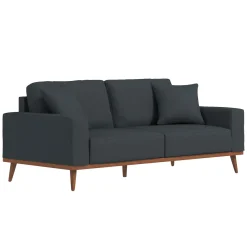 Ava Sofa with 2 Pillows