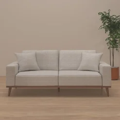 Ava Sofa with 2 Pillows