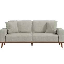 Ava Sofa with 2 Pillows