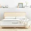 Avocado Green Mattress Medium Twin XL Mattress