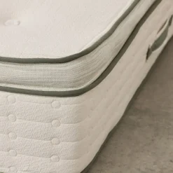 Avocado Green Mattress Plush California King Mattress