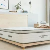 Avocado Green Mattress Plush Twin Mattress