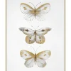 Butterflies Wall Art