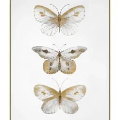 Butterflies Wall Art