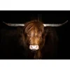 Hyland Cow Glass Wall Art