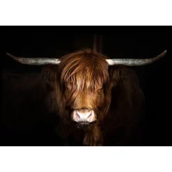 Hyland Cow Glass Wall Art