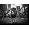 Lion in the City Wall Art