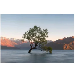 Lonely Tree Glass Wall Art
