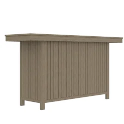 Maldives Bar Station