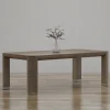 Modern Mood Dining Table