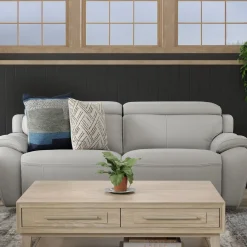 Nixon Leather Living Room Set