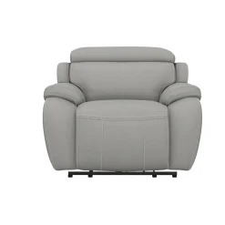 Nixon-New! Leather Power Recliner