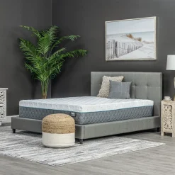 Pro Hybrid Firm Eastern King Mattress