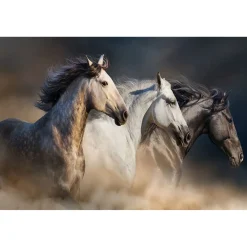 Running Horses Glass Wall Art