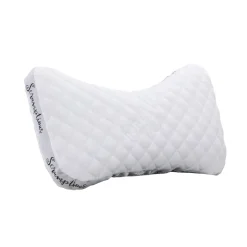 Scrumptious Pillow