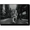 Tiger in the City Wall Art