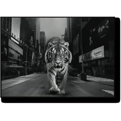 Tiger in the City Wall Art