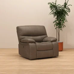 Trilogy Power Recliner