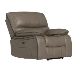 Trilogy Power Recliner