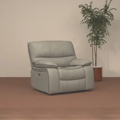 Trilogy Power Recliner