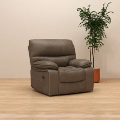 Trilogy Recliner