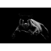 60" x 40" Black Panther Glass Wall Art