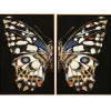 52x52 S/2 Butterfly Wall Art Wall Art
